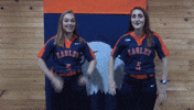 cnsb GIF by Carson-Newman Athletics