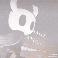 Hollow Knight Little Ghost GIF