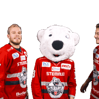 Sport Win Sticker by Eisbären Regensburg