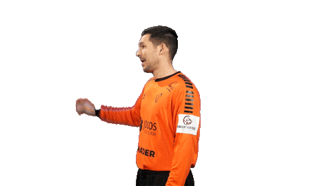 Letsgovamos Sticker by Federação de Andebol de Portugal