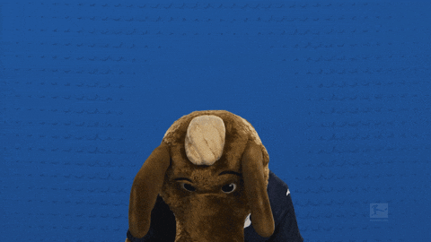Look Up Tsg Hoffenheim GIF by Bundesliga