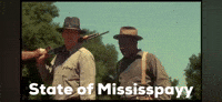 State Of Mississippi Life GIF by Provision Realty