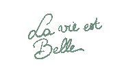 La Vie Est Belle Sticker