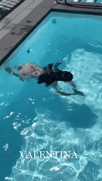 Swimming Pool Summer GIF by Casol