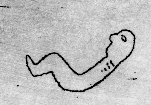 filemon-filemon giphyupload sport animation weird GIF