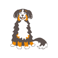 easypetseu dog sammy hond funnydog Sticker