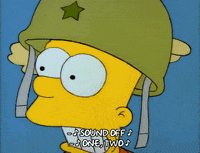 Season 1 GIF by The Simpsons