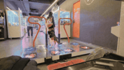 쫀득이 GIF