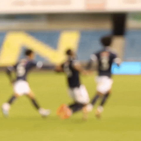 Team Celebrations GIF by MillwallFC