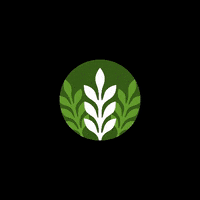 daskalakisfamily family daskalakis daskalakisfamily GIF
