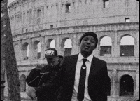 Prince George Pg GIF by IDK