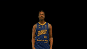 Basketball Prob GIF by ALM EVREUX BASKET