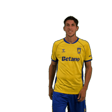 Goalcelebration Sejr Sticker by Brøndby IF