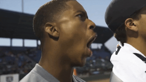 areacodebaseball giphygifmaker GIF
