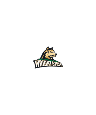 Ncaa Sports Sport Sticker by Wright State University Athletics