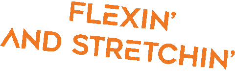 bodybasenation giphyupload gym rotterdam giphytextsticks Sticker