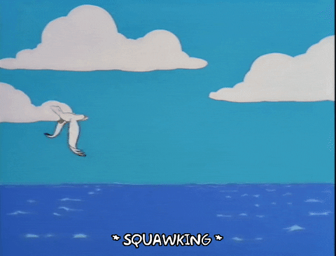 season 9 a seagull flying over an ocean GIF