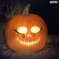 Orange Is The New Black GIF by NETFLIX