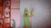 scifri GIF by Science Friday