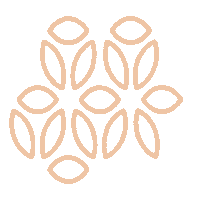 museumnaturalis minimal museum minimalism line art Sticker