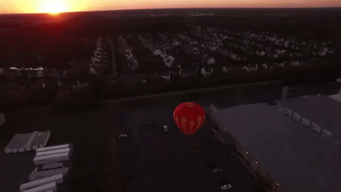 indiana GIF