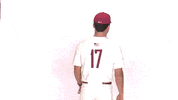 Baseball Roll Pards GIF by Lafayette Leopards