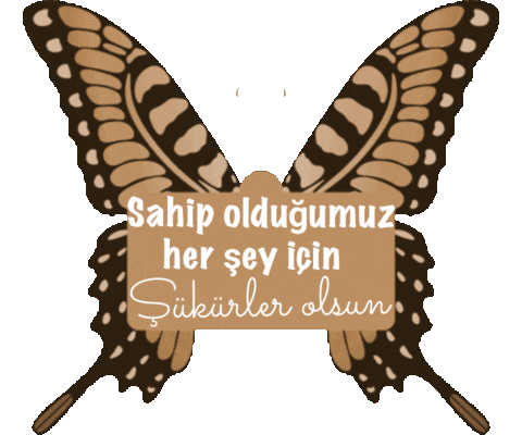 Mnkscuma Sticker