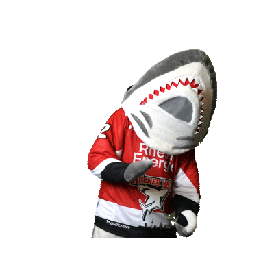 Goal Celebrate Sticker by Koelner Haie
