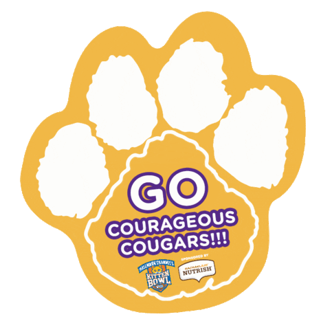 nutrish sports football cat kitten Sticker