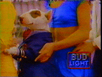 Spuds Mackenzie Dancing GIF