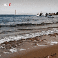 Relax Sea GIF by TRT