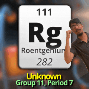 Group 11 Rg GIF