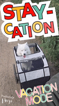 Home Vacation GIF
