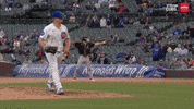 Excited Chicago Cubs GIF by TheDreamTeam 