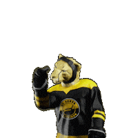 Hockey Hokej Sticker by Tipsport extraliga