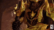 GIF by DestinyTheGame