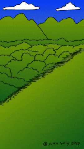 Bug Dung GIF by Juan Billy