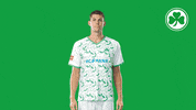 Celebrate Back Number GIF by SpVgg Greuther Fürth