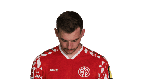 Look Up Mainz 05 Sticker by Bundesliga