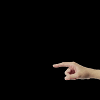 Studiocooliejoelie studiocooliejoelie GIF