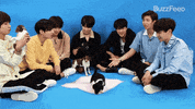 Puppies GIF by BuzzFeed