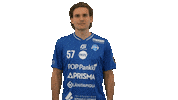 Floorball Salibandy Sticker by F-liiga