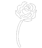 Loop Flower Sticker by NRW Jusos