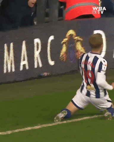 West Brom Championship GIF by West Bromwich Albion