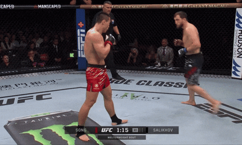 giphy.gif