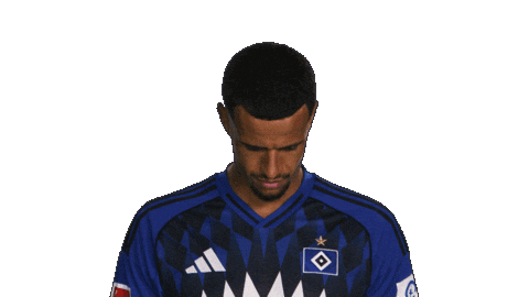 Look Up Hamburger Sv Sticker by Bundesliga