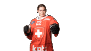 Celebrate National Team Sticker by Swiss Ice Hockey