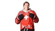 Celebrate National Team Sticker by Swiss Ice Hockey