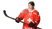 Celebrate National Team Sticker by Swiss Ice Hockey