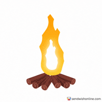 Burning On Fire GIF by sendwishonline.com